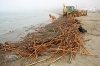 RESTOS ULTIMAS INUNDACIONES EN PLAYA MALAPESQUERA