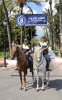 Dia de la Policia Local 2016 (19)