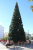 20121208 Fiesta Navidad Internacional