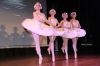 DÃa de la Danza DÃa de la Danza