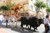 20180617 Romeria San Juan 2018 (109) 20180617 Romeria San Juan 2018 (109)