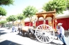 20180617 Romeria San Juan 2018 (111) 20180617 Romeria San Juan 2018 (111)