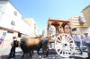 20180617 Romeria San Juan 2018 (116) 20180617 Romeria San Juan 2018 (116)