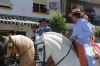 20180617 Romeria San Juan 2018 (136) 20180617 Romeria San Juan 2018 (136)
