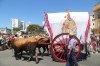20180617 Romeria San Juan 2018 (172) 20180617 Romeria San Juan 2018 (172)
