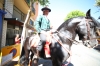 20180617 Romeria San Juan 2018 (21) 20180617 Romeria San Juan 2018 (21)
