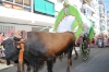 20180617 Romeria San Juan 2018 (93) 20180617 Romeria San Juan 2018 (93)