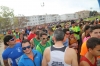 XXXI Carrera del Pavo XXXI Carrera del Pavo