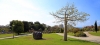 PARQUE LA PALOMA PARQUE LA PALOMA