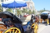 20140821 Feria de Malaga Ambiente Centro (1)