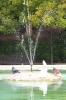 20121010 parque de la paloma (2)